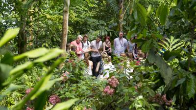 A school trip standing in a group talking in the middle of the Eden rainforest biome